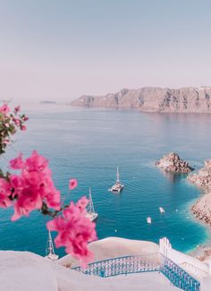 pink flowers are blooming on the steps leading down to the water and boats in the ocean