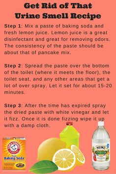 a recipe for lemonade with instructions on how to use it