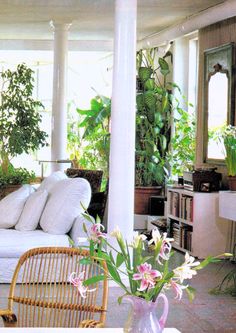 a living room filled with furniture and lots of plants