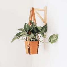 a potted plant hanging from the side of a white wall next to a wooden chair