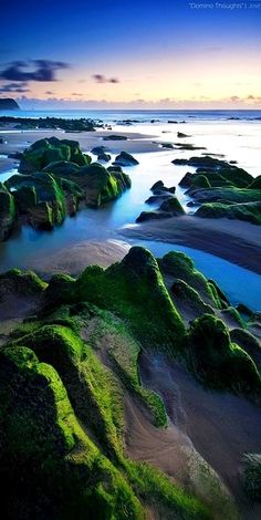 the beach with moss growing on it and an inspirational quote about being quiet in the ocean