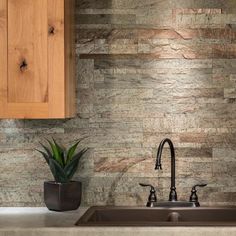 a kitchen sink sitting under a wooden cabinet next to a counter with a potted plant