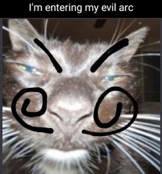 a cat with an evil look on it's face and the caption says, i'm entering my evil arc