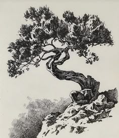 a black and white drawing of a tree on top of a hill