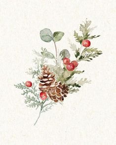 watercolor painting of pine cones and berries