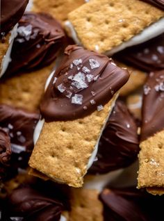 chocolate covered crackers and marshmallows on a plate