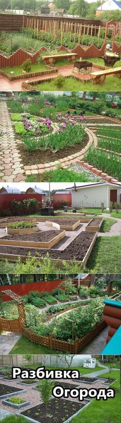 several pictures of different types of vegetable gardens