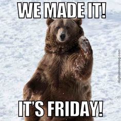 a brown bear standing on its hind legs with the caption we made it it's friday