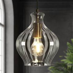 a clear glass light fixture hanging from a ceiling in a room with a potted plant