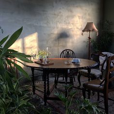 a table and chairs in a room with potted plants on the floor next to it