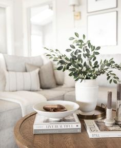 a living room with a couch, coffee table and plant in the centerpieces