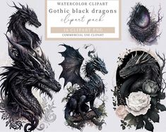 the watercolor clipart gothic black dragon set includes 16 clipart pngs