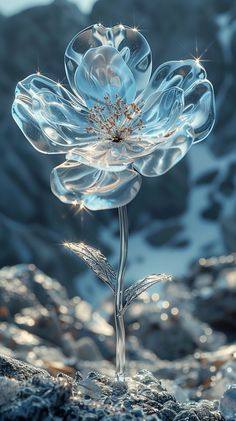 a flower that is sitting on some rocks