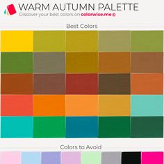 Warm Autumn Seasonal Color Analysis, Fall Color Palette, Soft Autumn, Color Palate, Color Analysis, Colour Board, Fall Color