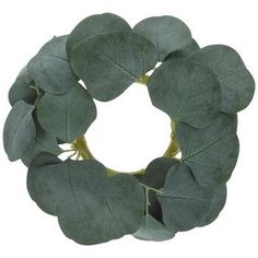 a wreath made out of green leaves on a white background