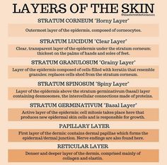 Layers Of The Skin, Beauty School Cosmetology, Facial Esthetics, Esthetician Quotes