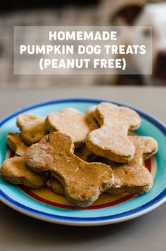 homemade pumpkin dog treats on a plate with text overlay that reads homemade pumpkin dog treats peanut free