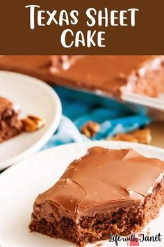 a close up of a piece of cake on a plate with the text texas sheet cake