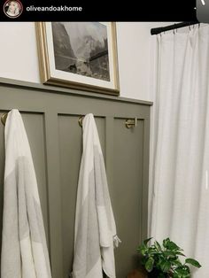 two towels hanging on the side of a door in front of a potted plant