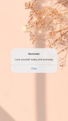 the text reads reminder love yourself today and every day okay on pink background with white flowers