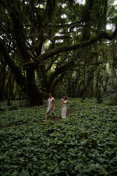 two people standing in the middle of a lush green forest