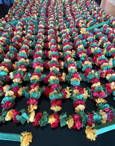 rows of colorful flowers are arranged on a table