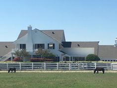 two horses graze in front of a large white house