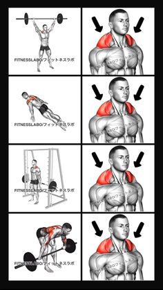 Shrugs Workout, Bent Over Row, Traps Workout