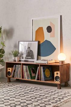 a book shelf with books on it in front of a painting and potted plant