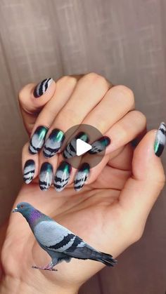 Libby Podolich on Instagram: "🐦👀" April 4, Nail Designs Spring, Spring Nails, Fashion Ideas, Nail Designs, Nail Art