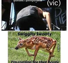 two pictures one with a baby deer and the other with an adult deer in it