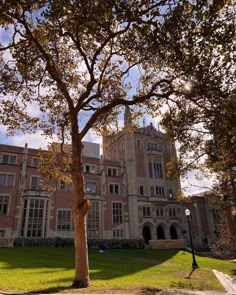 a tree in front of a large building