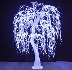 a lighted willow tree is shown in the dark