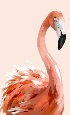 a pink flamingo is standing in the water