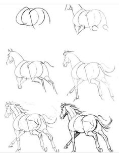 four horses running in different directions, each with their own tail and head turned to the side