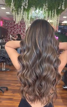 Chocolate Brown Hair With Blonde Highlights And Lowlights, Mash Dinner Ideas, Light Brown Highlights With Dark Hair, Light Brown Highlights In Dark Hair, Light Brown Hair Baylage, Brunette Dyed Hair Ideas, Hair Highlight Ideas For Brunettes, Highlited Hair Brown, Brown Hair After Blonde