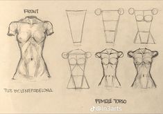 sketches of female mannequins from the front to the back