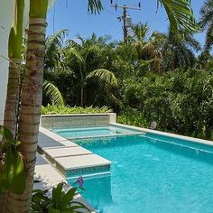 an empty swimming pool surrounded by palm trees and greenery in front of a house