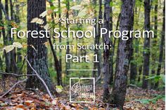 a forest with trees and leaves in the foreground text reads starting a forest school program from scratch part 1