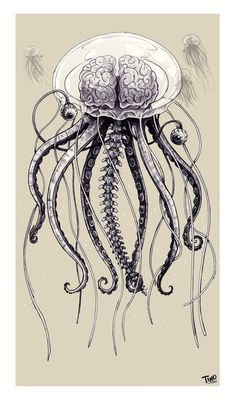 an ink drawing of a jellyfish with its tentacles attached to it's back