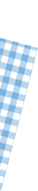 a blue and white checkered table cloth on a white background with a black border