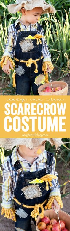 a little boy in overalls and hat holding a basket of apples with the words scarecrow costume on it