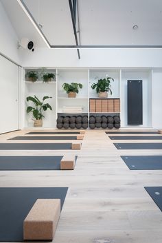 an empty room with yoga mats and potted plants