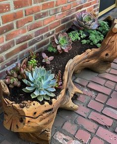 Succulent Garden Landscape, Rustic Landscaping, Succulent Planter Diy, Succulent Garden Design, Rock Garden Design, Garden Decor Diy, Succulent Garden Diy, Diy Craft Ideas