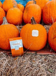 Pumpkin Spice Shake, Cinnamon Pumpkin, Health Fitness Nutrition, Healthy Joints