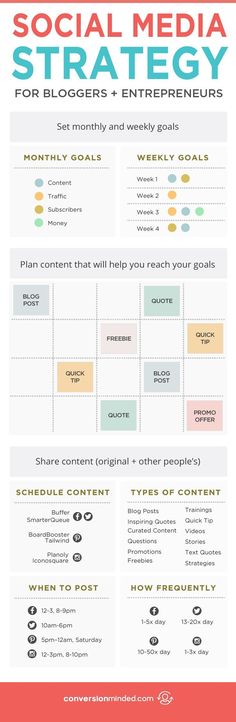 the social media strategy for bloggers and entrepreneurs info sheet with text overlaying it