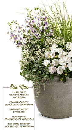 a potted plant with white flowers and greenery on the top is labeled ela mae