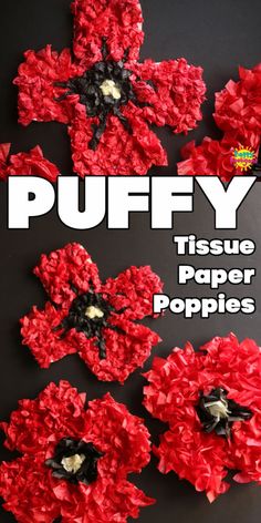 the cover of puffy tissue paper poppies is shown with red flowers on it