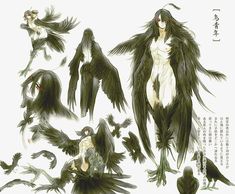 an anime character poses with her wings spread out and birds around her, in front of them