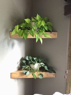 two wooden shelves with plants on them in the corner of a room next to a bed